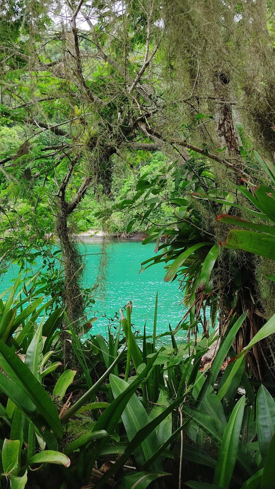 Chales Da Longa Angra dos Reis Dış mekan fotoğraf