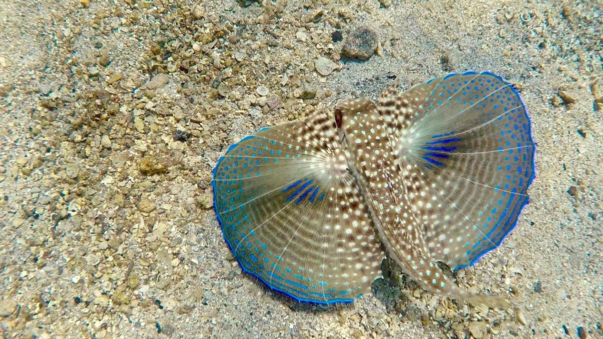 Chales Da Longa Angra dos Reis Dış mekan fotoğraf